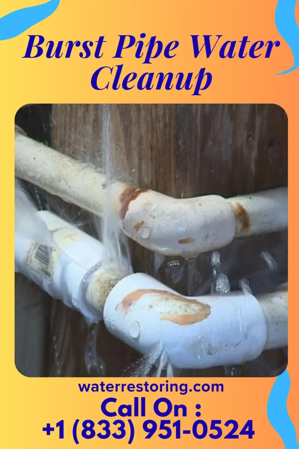 Burst Pipe Water Cleanup in St. Augustine South, FL