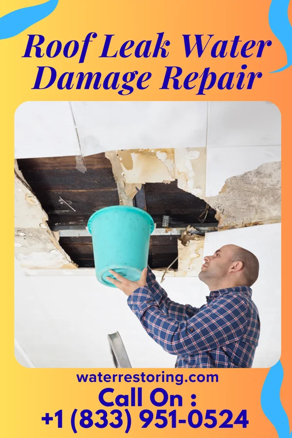 Roof Leak Water Damage Repair in St. Augustine South, FL