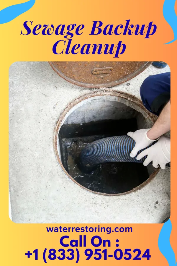 Sewage Backup Cleanup in St. Augustine South, FL