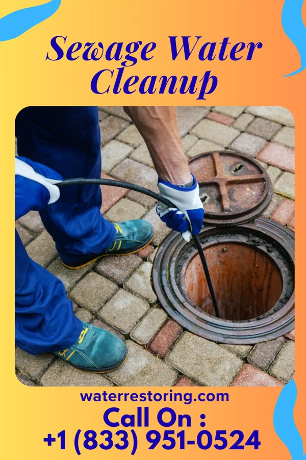 Sewage Water Cleanup in St. Augustine South, FL